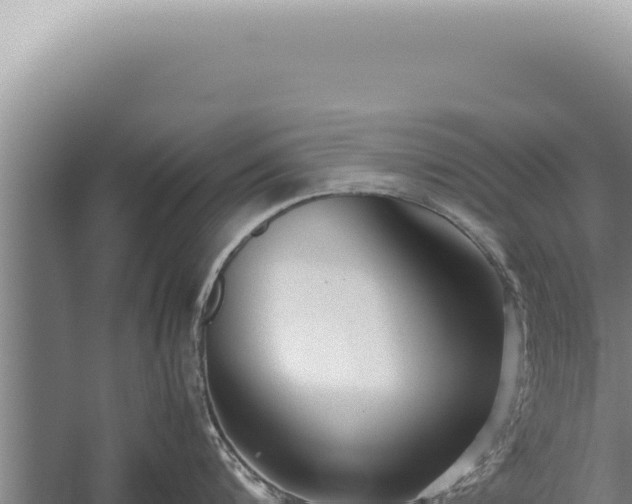 X0000059810816200510281703