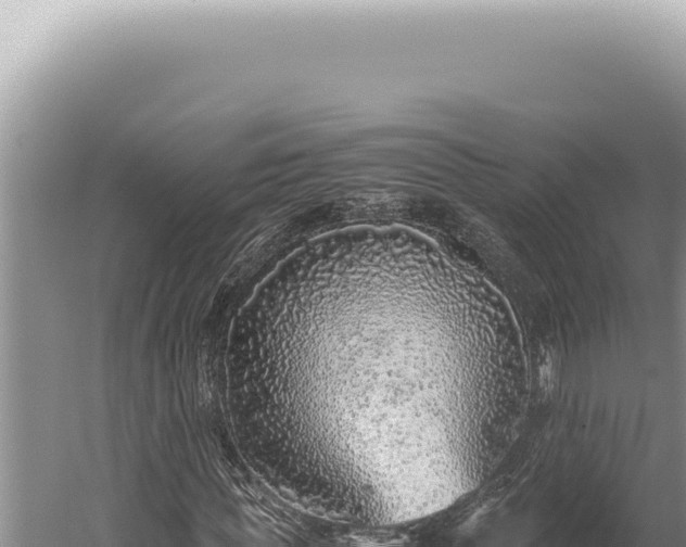 X0000059810819200510281703