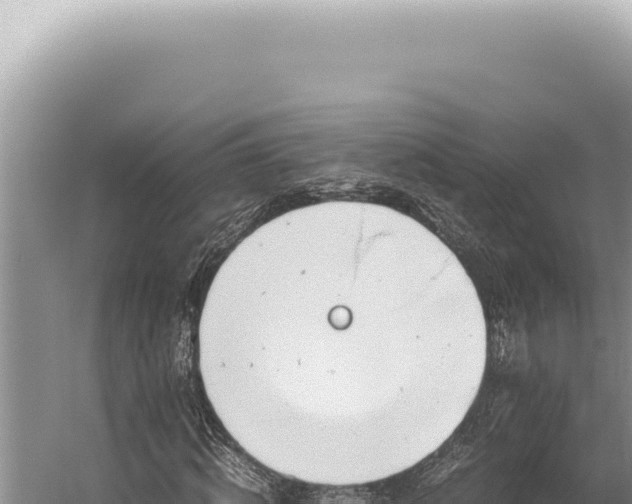 X0000059810820200510281703