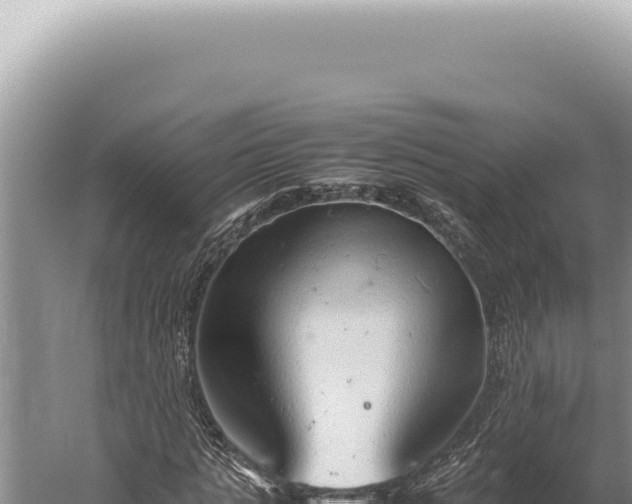 X0000059810821200510281703