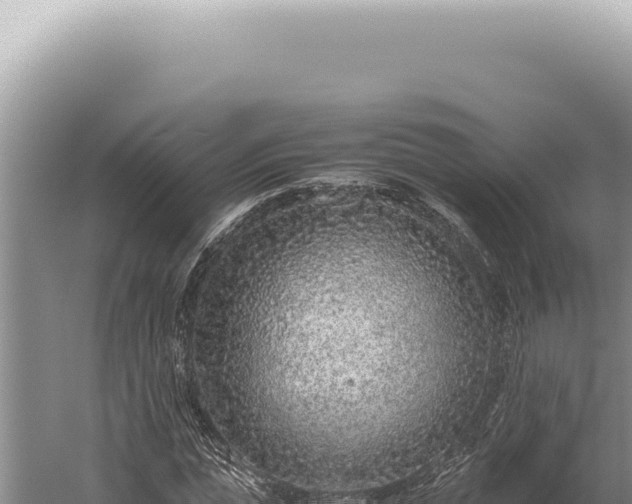 X0000059810823200510281703