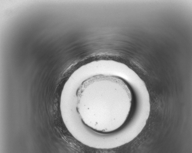 X0000059810824200510281703