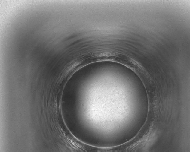 X0000059810825200510281703