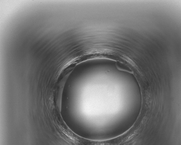 X0000059810826200510281703