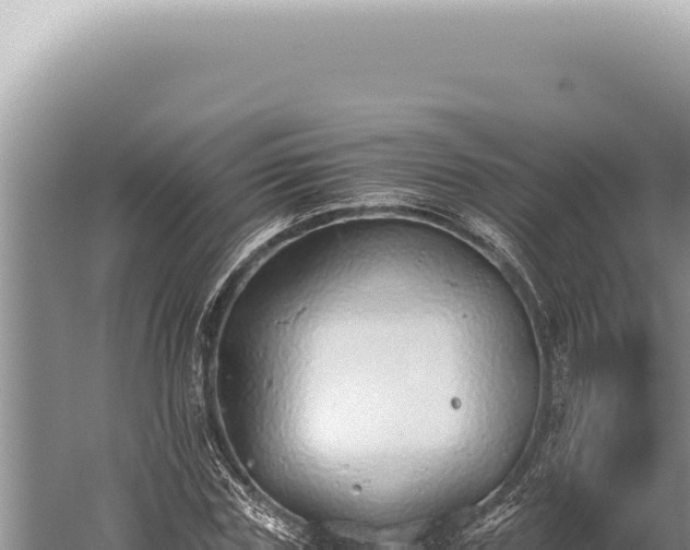 X0000059810827200510281703