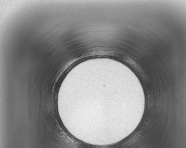 X0000059810828200510281703