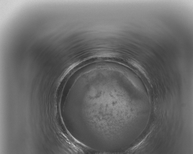 X0000059810829200510281703