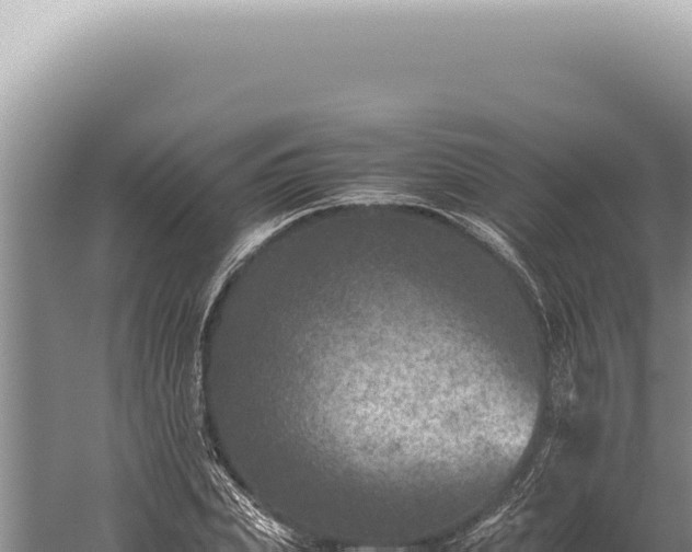 X0000059810831200510281703