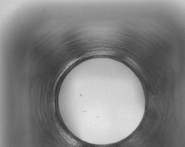 X0000059810836200510281703