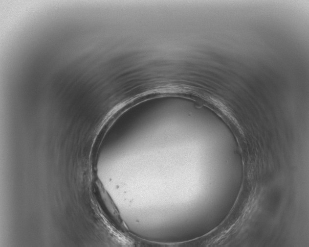 X0000059810837200510281703