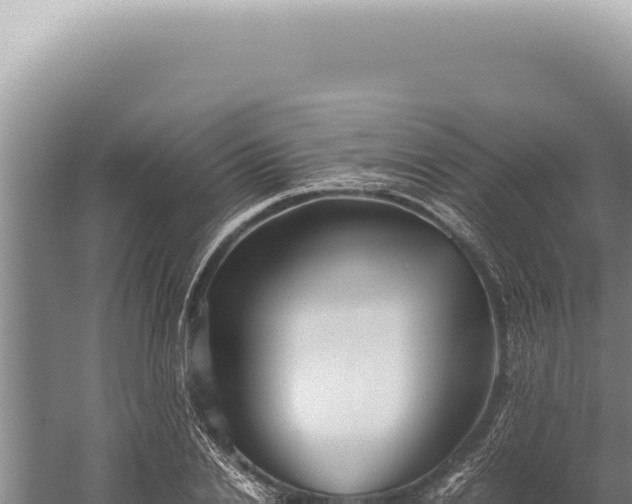 X0000059810838200510281703