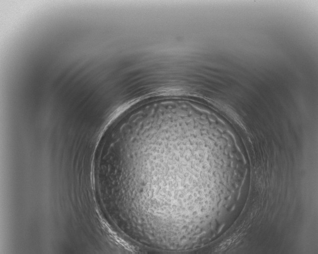 X0000059810839200510281703