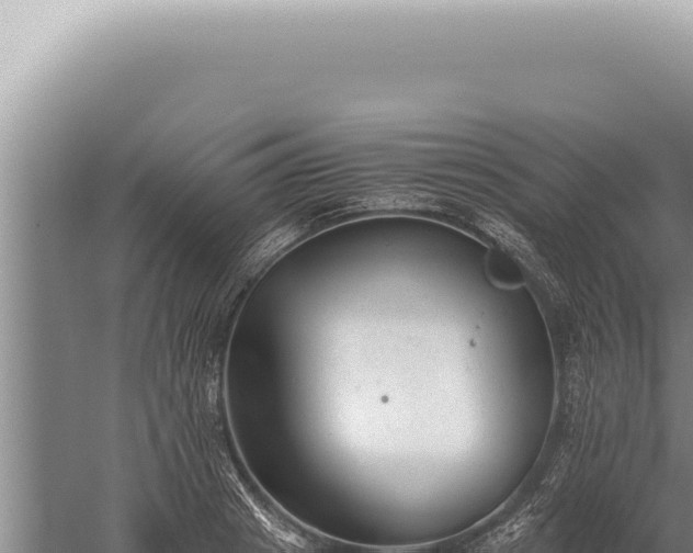 X0000059810841200510281703