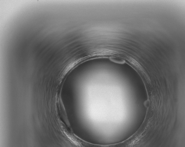 X0000059810842200510281703