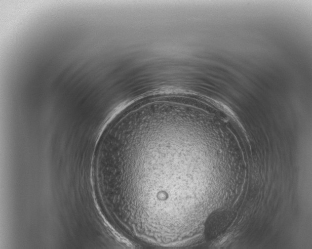 X0000059810847200510281703