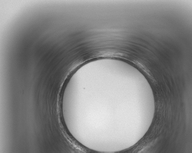 X0000059810848200510281703