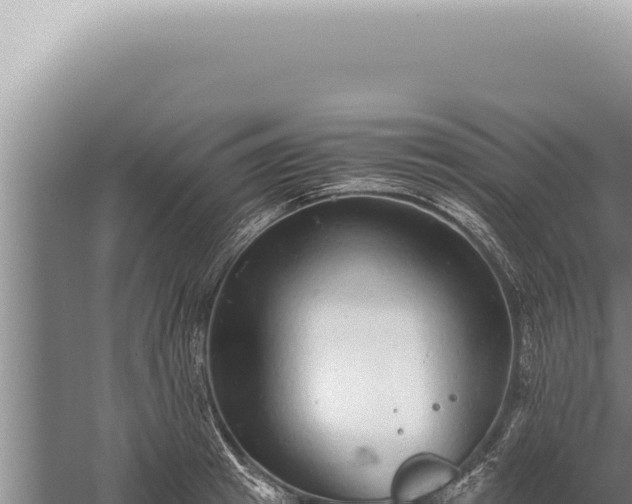 X0000059810849200510281703