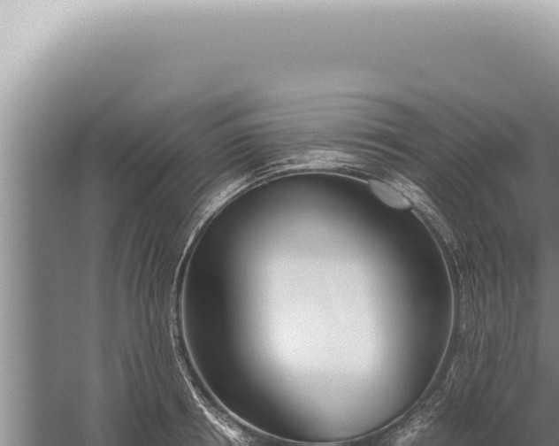 X0000059810850200510281703