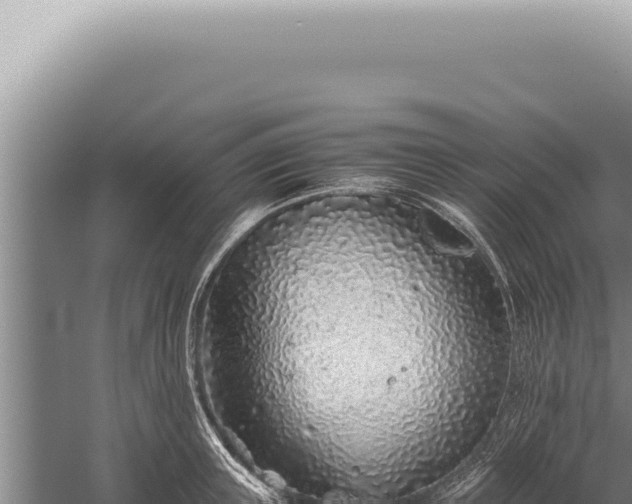 X0000059810851200510281703