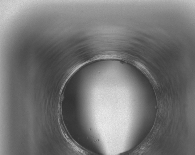 X0000059810852200510281703