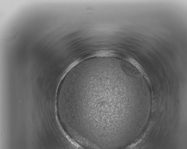 X0000059810853200510281703