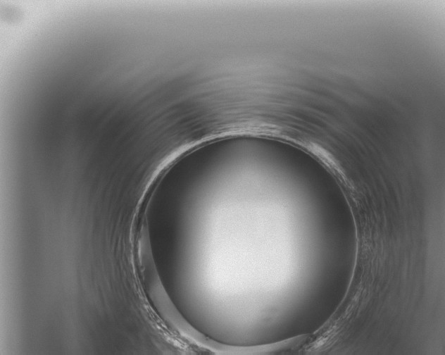 X0000059810854200510281703