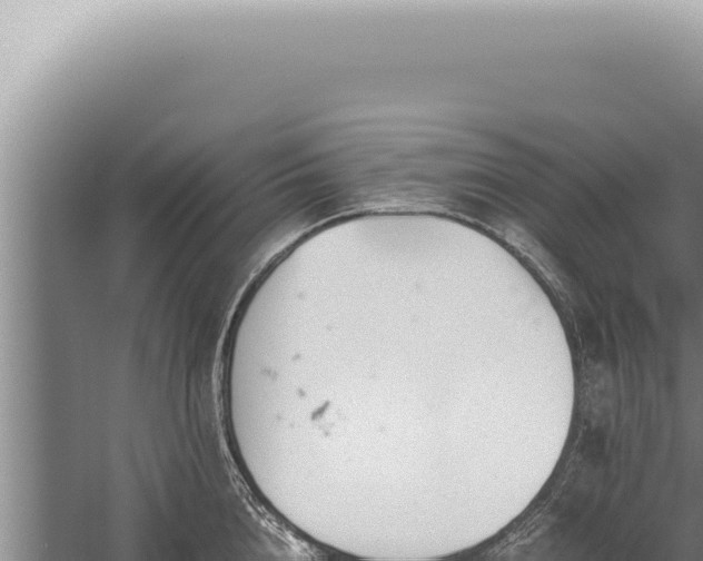 X0000059810856200510281703