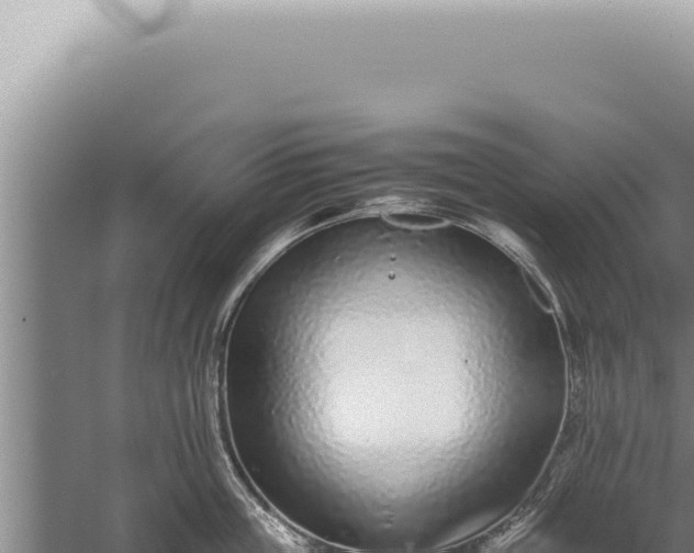 X0000059810859200510281703