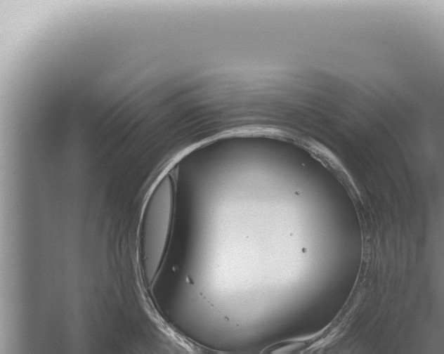 X0000059810860200510281703