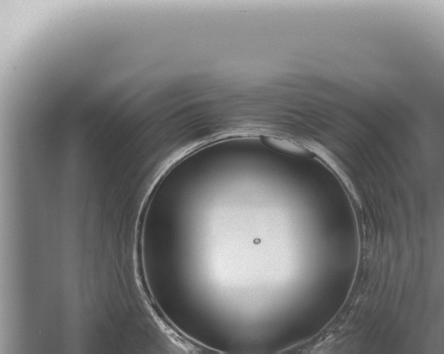 X0000059810861200510281703