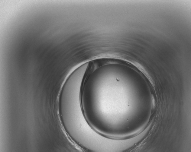 X0000059810862200510281703