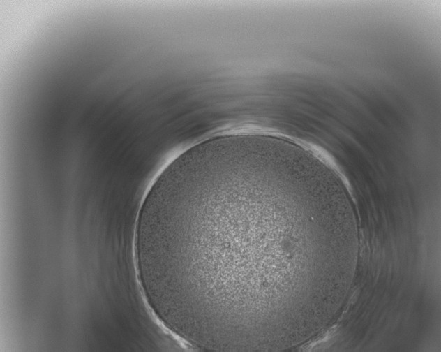 X0000059810863200510281703