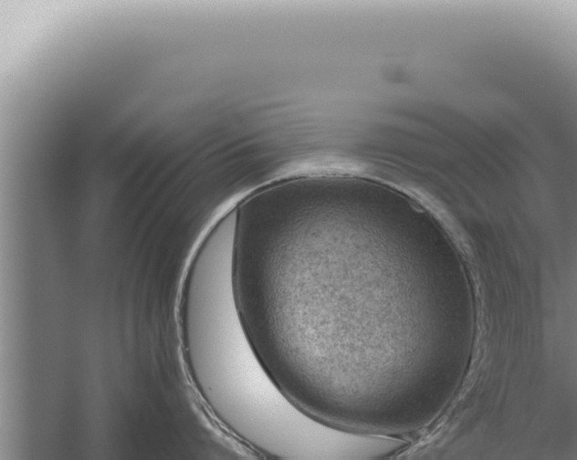 X0000059810864200510281703