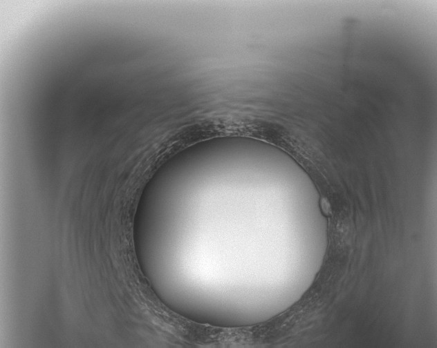 X0000059810865200510281703