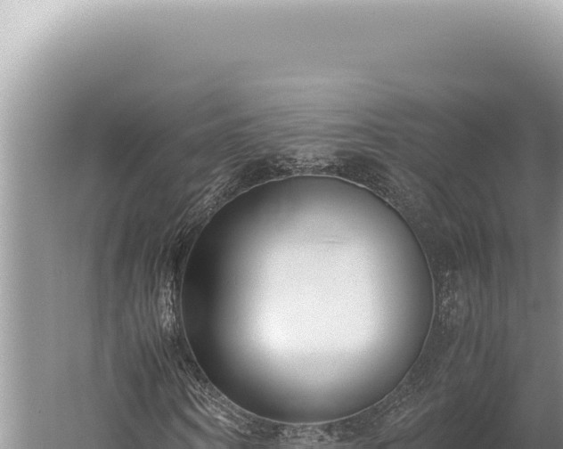 X0000059810866200510281703