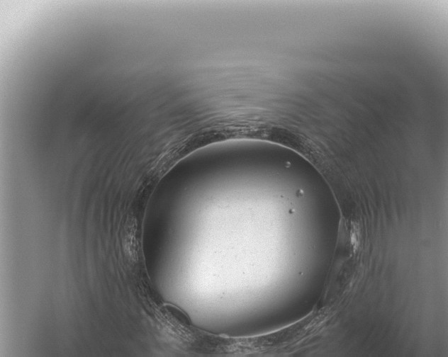 X0000059810867200510281703