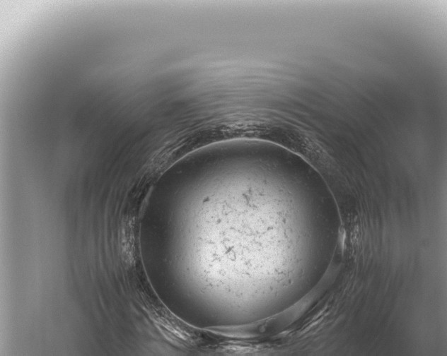 X0000059810868200510281703