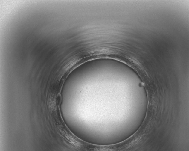 X0000059810873200510281702