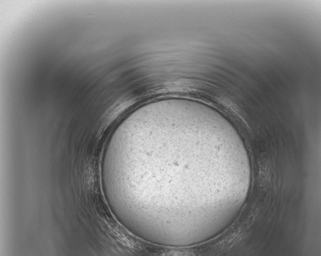 X0000059810874200510281702