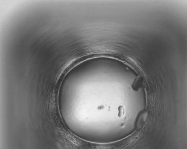 X0000059810875200510281702