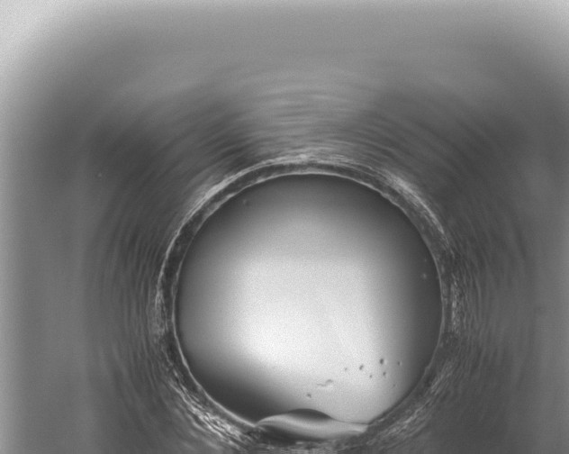 X0000059810876200510281702