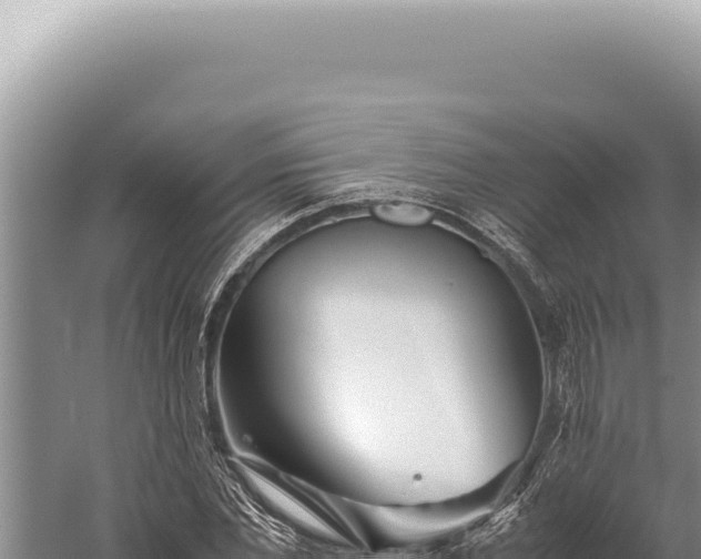 X0000059810877200510281702