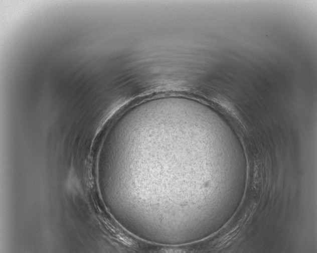 X0000059810878200510281702