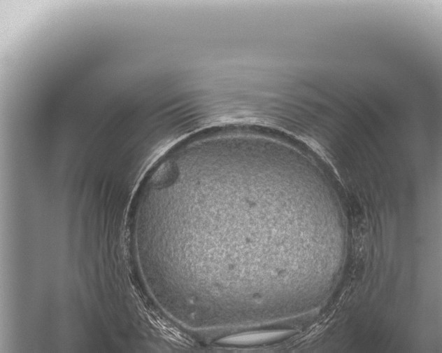 X0000059810879200510281702