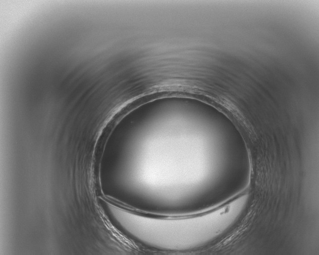 X0000059810880200510281702