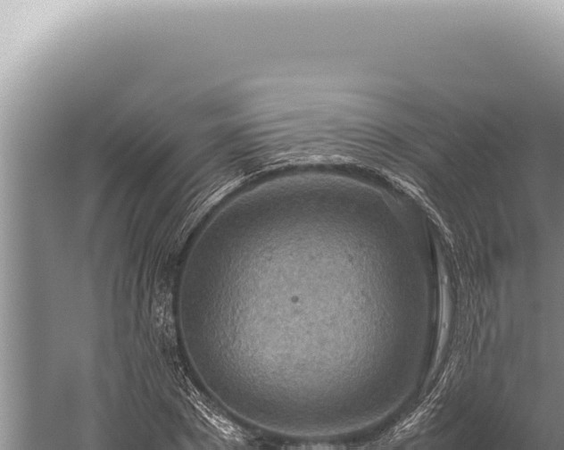 X0000059810881200510281702