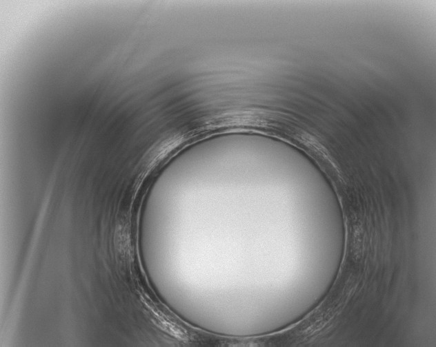 X0000059810882200510281702