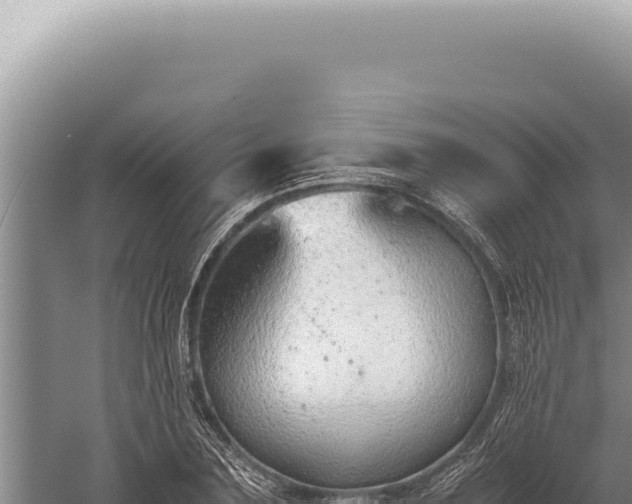 X0000059810883200510281702