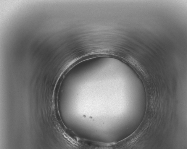 X0000059810884200510281702