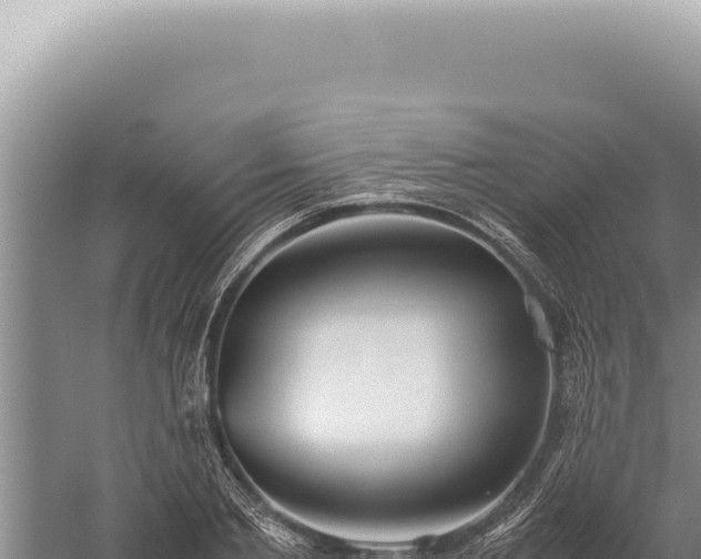 X0000059810885200510281702